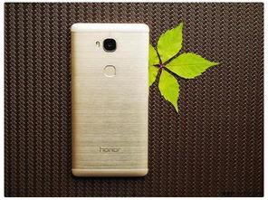 国产在线999,揭秘国内热门影视平台的魅力所在